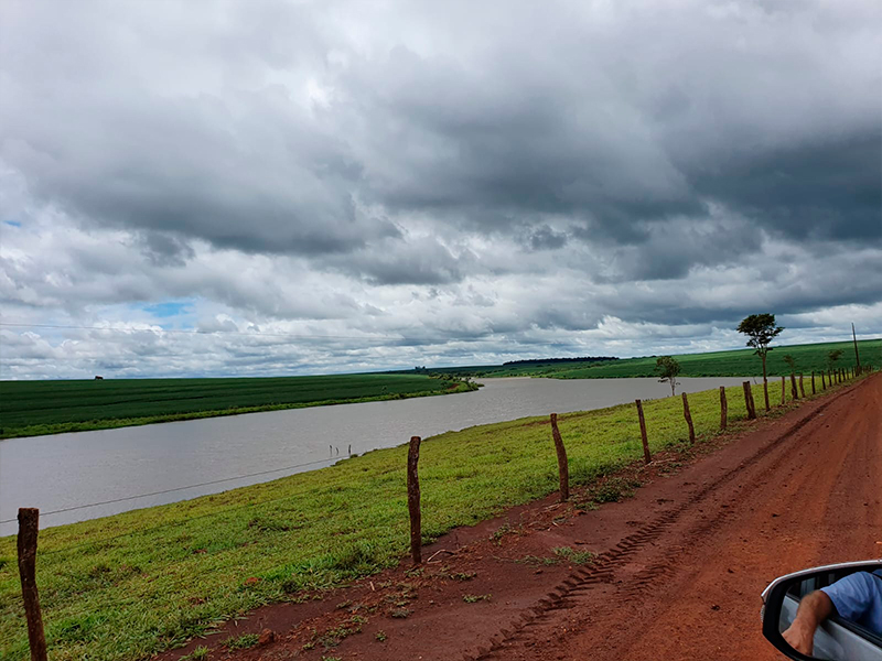 Morro Chato Agropecuária | Agricultura, Pecuária e Reflorestamento