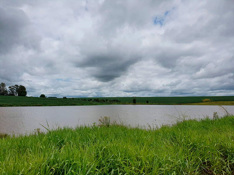 Morro Chato Agropecuária | Agricultura, Pecuária e Reflorestamento