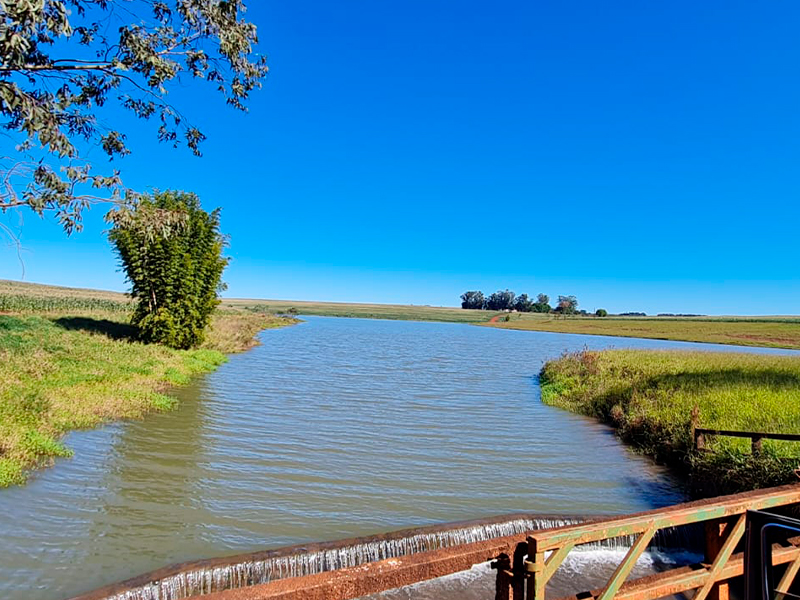 Morro Chato Agropecuária | Agricultura, Pecuária e Reflorestamento