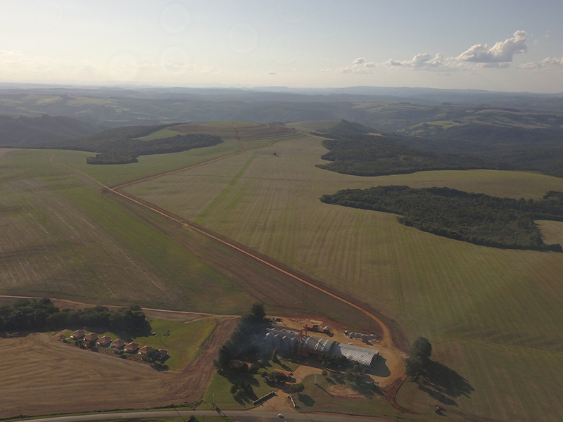 Morro Chato Agropecuária | Agricultura, Pecuária e Reflorestamento