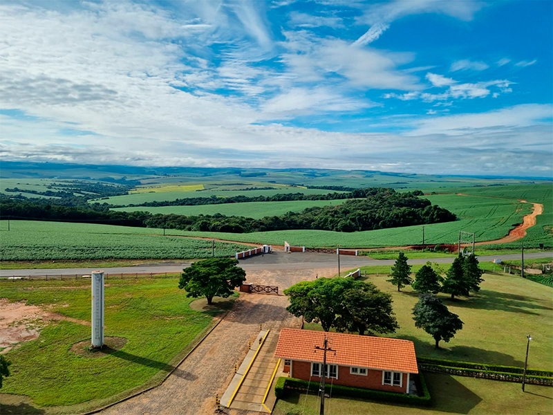 Morro Chato Agropecuária | Agricultura, Pecuária e Reflorestamento