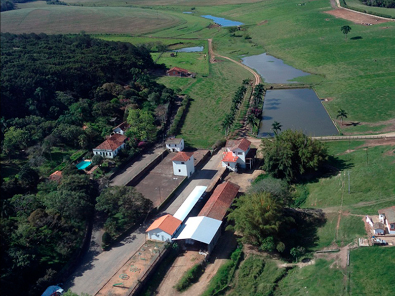 Morro Chato Agropecuária | Agricultura, Pecuária e Reflorestamento