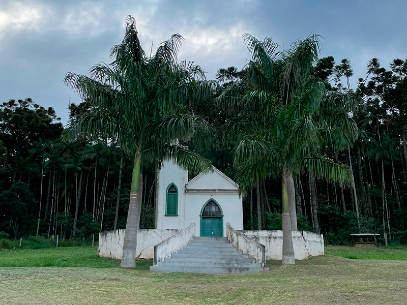 Morro Chato Agropecuária | Agricultura, Pecuária e Reflorestamento