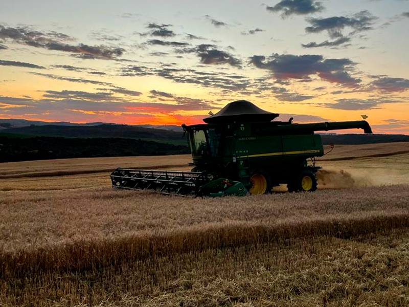 Morro Chato Agropecuária | Agricultura, Pecuária e Reflorestamento