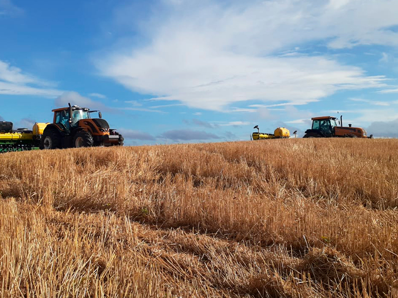 Morro Chato Agropecuária | Agricultura, Pecuária e Reflorestamento