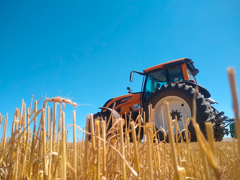 Morro Chato Agropecuária | Agricultura, Pecuária e Reflorestamento