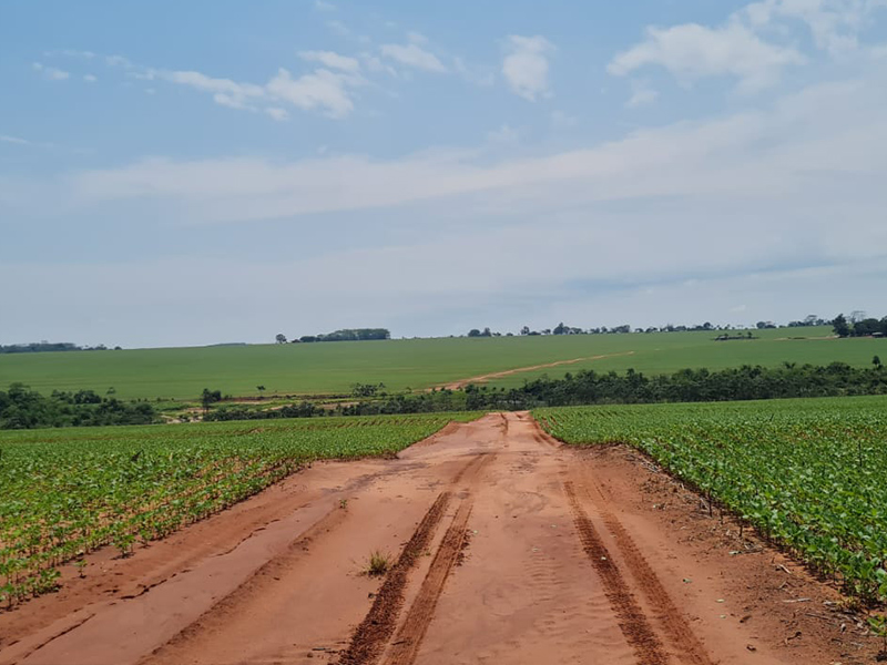 Morro Chato Agropecuária | Agricultura, Pecuária e Reflorestamento