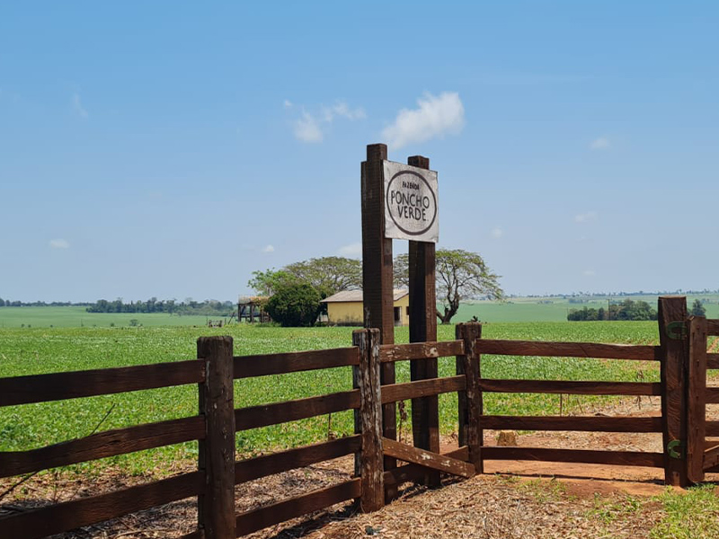 Morro Chato Agropecuária | Agricultura, Pecuária e Reflorestamento