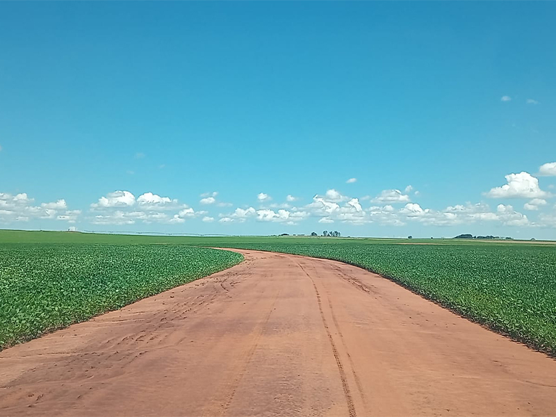 Morro Chato Agropecuária | Agricultura, Pecuária e Reflorestamento