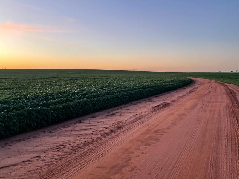 Morro Chato Agropecuária | Agricultura, Pecuária e Reflorestamento