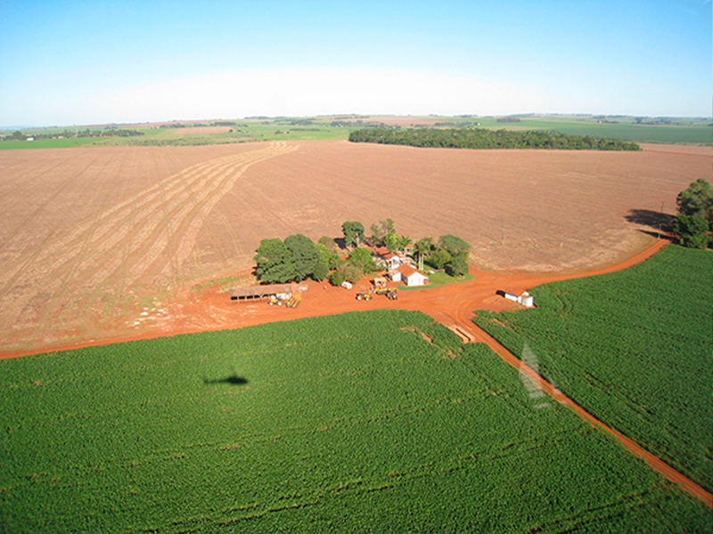 Morro Chato Agropecuária | Agricultura, Pecuária e Reflorestamento