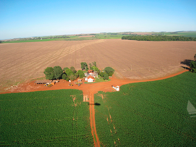 Morro Chato Agropecuária | Agricultura, Pecuária e Reflorestamento