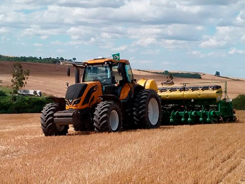 Morro Chato Agropecuária | Agricultura, Pecuária e Reflorestamento