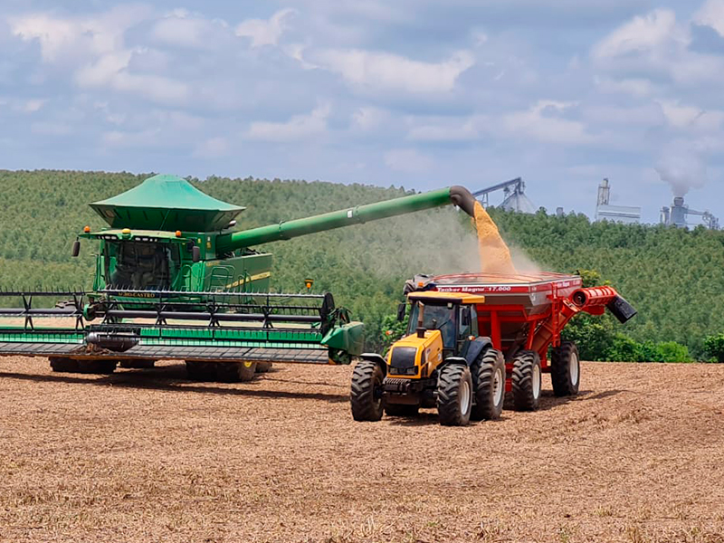 Morro Chato Agropecuária | Agricultura, Pecuária e Reflorestamento