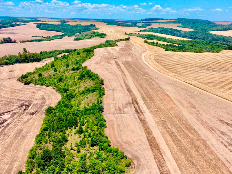 Morro Chato Agropecuária | Agricultura, Pecuária e Reflorestamento